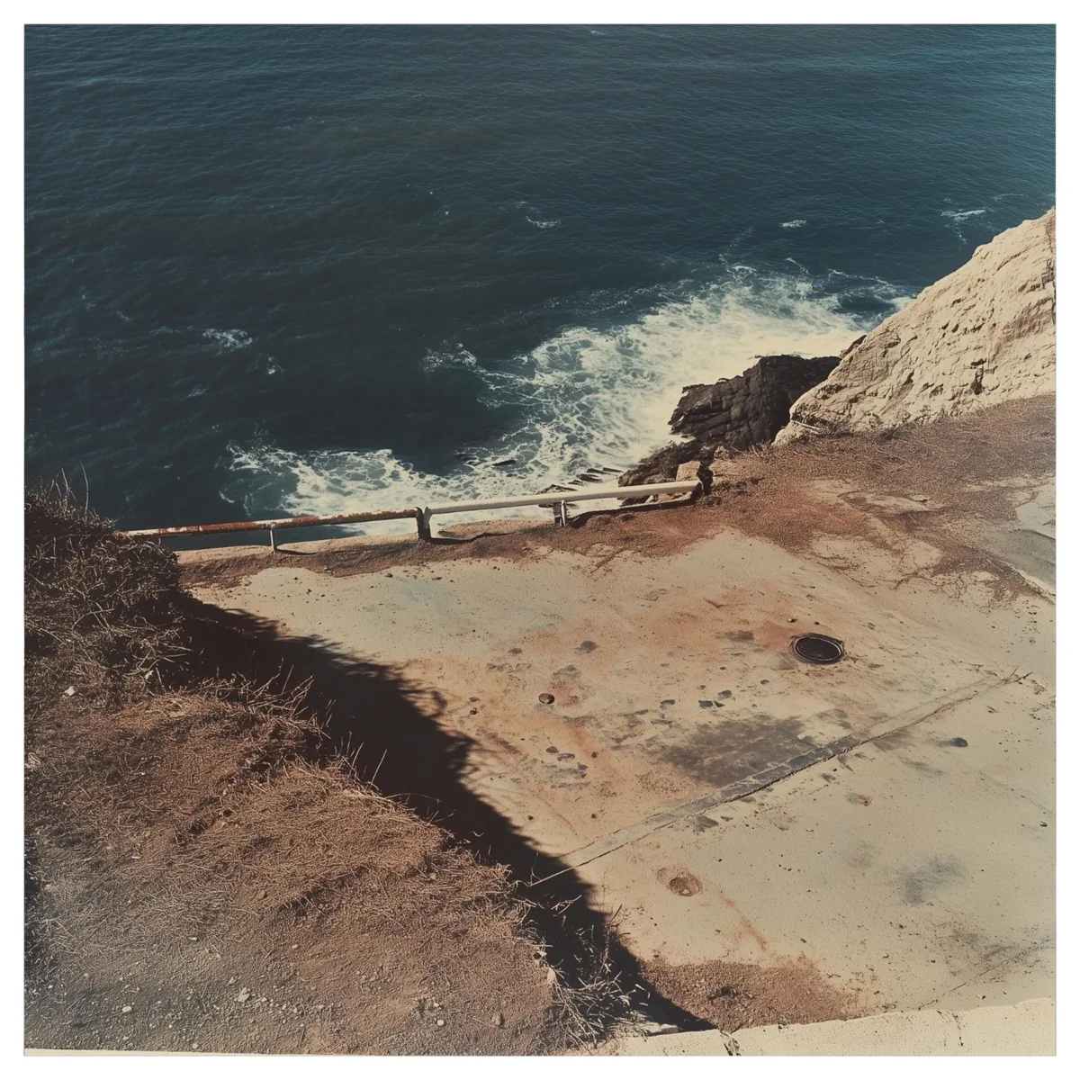 The Cove release artwork